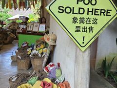 -大象粑粑造纸公园