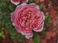 -滨河世纪广场公园