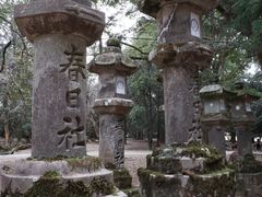 -奈良公园