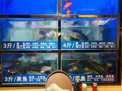 水产区-爱妻鱼•老体北重庆水煮鱼•川菜(白云路店)