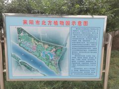 -莱阳濯村樱花园