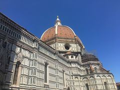 -圣母百花大教堂穹顶