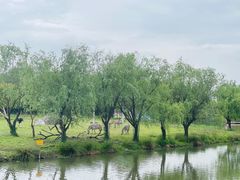 -宁波野生动物园