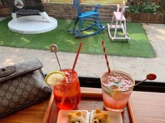 西柚苏打-柴犬高等学院·狗咖·柴犬售卖·宠物训练