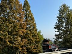 -莫干山风景区