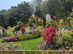 -上海共青森林公园