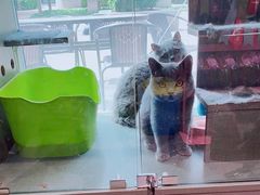 -爱宠屋pet shop·宠物洗澡·宠物美容