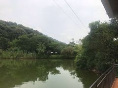 -桃园美食(水库路店)