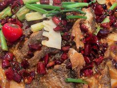 -老板恋上鱼(恒隆广场店)