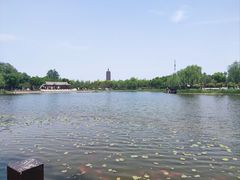 -西海子公园