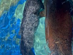 -太平洋海底世界