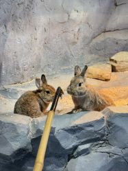 -Zoolung Zoolung动物主题公园(海信广场店)