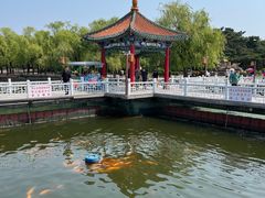 -长春市南湖公园