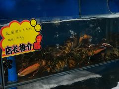 -蚝专家(北滘店)