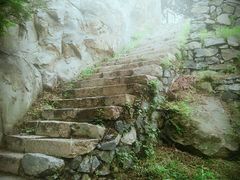 -北京鹫峰国家森林公园