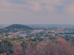 -上海佘山国家森林公园西佘山园