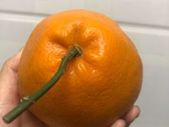 粑粑柑-叶氏兄弟果业(长生街店)