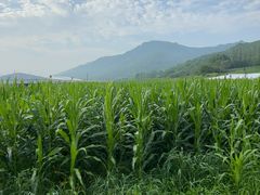 -帽儿山风景区