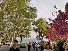 -北山街历史文化街区