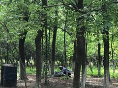 -亲兄弟真人CS团建拓展基地