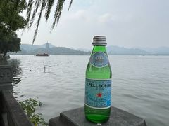 -杭州西湖柳莺里酒店