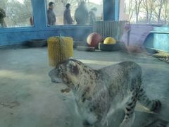 -青藏高原野生动物园