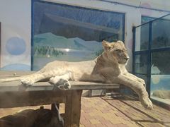 -大连森林动物园