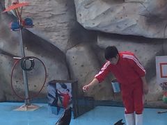 -泉州海丝野生动物世界