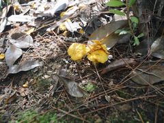 -溪口-滕头旅游景区