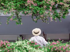 -深圳仙湖植物园-停车场
