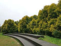 -白鹭湾湿地公园