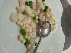 -圆苑(静安寺店)