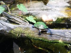 -可伦宾野生动物保护区