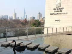 -行者书屋大堂吧 ·下午茶(南京圣和府邸酒店)