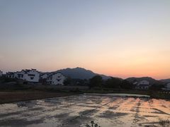 -黄牛肉馆·皖南土菜