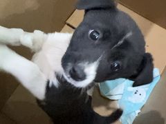 -海岸城停车场(海岸城店)