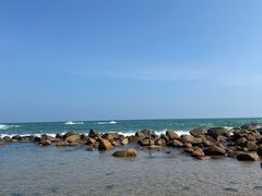 -广东惠东海龟国家级自然保护区
