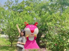 -鹅湖玫瑰文化园