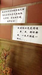 -梧桐照相馆(维景国际店)