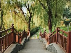 -西安汉城湖景区