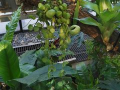 -北京植物园-展览温室