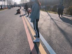 -羊山湖公园