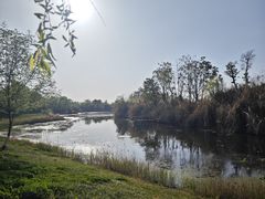 -白鹭湾湿地公园