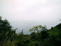 -南丫岛