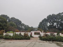 -南山植物园
