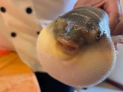 -长顺河豚馆(江洲东路)