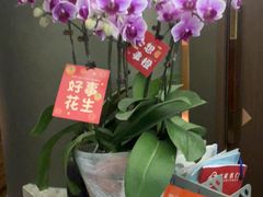 -忆家名门·上海菜(徐家汇店)