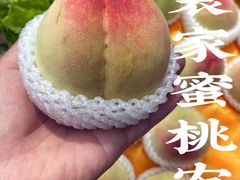 -老袁家蜜桃农场·阳山水蜜桃