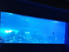 -重庆欢乐海底世界