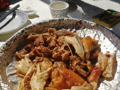 -鲤鱼塘农家山庄